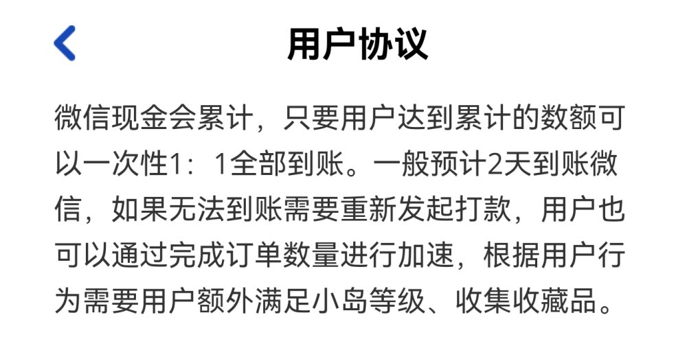 到账说明