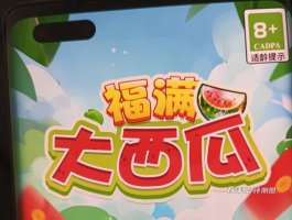 福满大西瓜真的能赚钱吗？评测：也就赚个馒头钱