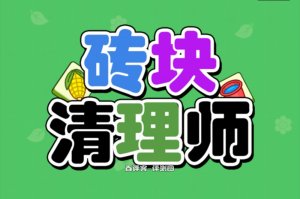 砖块清理师赚钱游戏真实吗？评测：提现0.1元还要审核